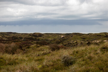 Autumn Dunes Landscape Cloudy Sky