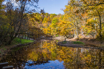 Fototapeta na wymiar Autumn trees colors reflect in small lake 