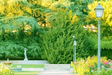 spring in the park with trees and a pond, garden, summer