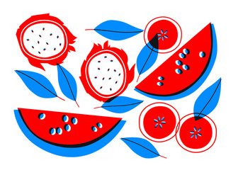 Tropical fruits vector flat abstract style. Watermelon, citrus, orange, pitahaya, ingredients for cooking. Illustration for farmers market, vegetarian festivals promotion, advertising. 