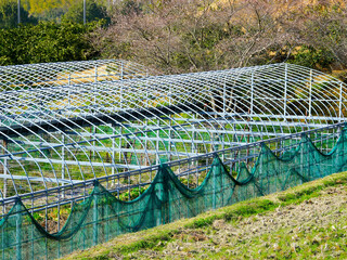 畑のビニールハウスの骨組み