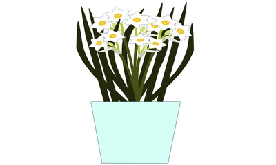 水仙の鉢植え