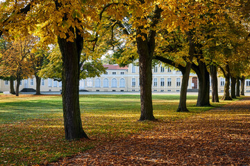 an alley with deciduous trees in the park and a fragment of a baroque palace during autumn