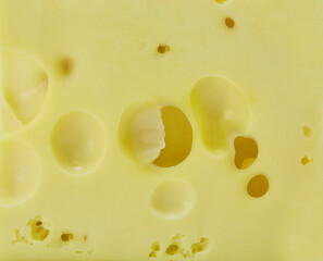 A slice of cheese with large holes, the texture of the product's surface. Ecological food