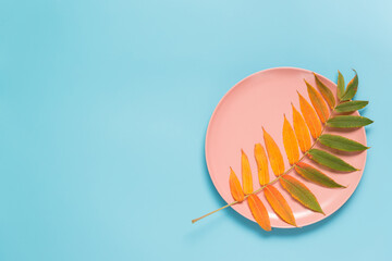 Abstract autumn greeting card: a beautiful yellowed leaf in a pink circle on blue background. Flat lay. Copy space