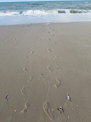 footprints on the beach