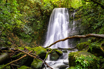 Matai Falls Wasserfall Catlins Neuseeland