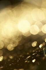 golden blur background, holiday texture