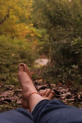 relax in the forest