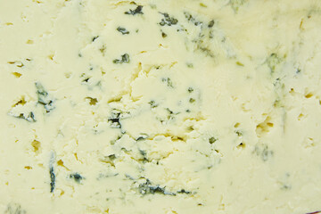 A slice of cheese with mold, the texture of the product's surface. Ecological food