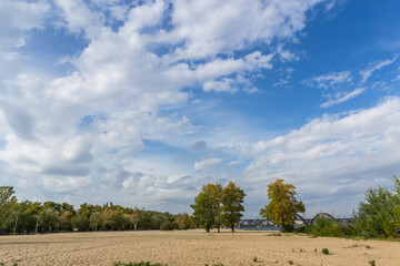 Obraz premium Wide sandy beach on the river bank surrounded by trees against the background of blue sky and white clouds on a sunny autumn day
