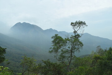 Obraz premium fog in the mountains