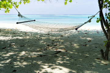 Empty hammock between palms trees at sandy beach