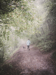Poranny spacer z psem w zamglonym lesie nad jeziorem Otomin koło Gdańska - obrazy, fototapety, plakaty