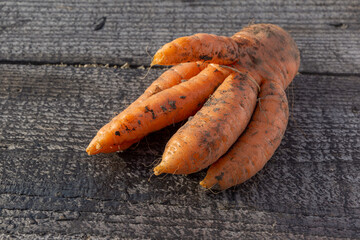 Fresh organic carrots without leaves on a wooden background. Vegetables. Health food