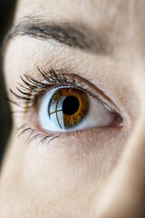 Close-up of a woman's eye brown