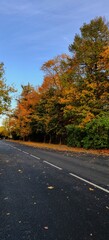 Autumn highway