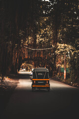 Auto Rickshaw in forest