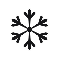 Snowflake icon vector isolated symbol.