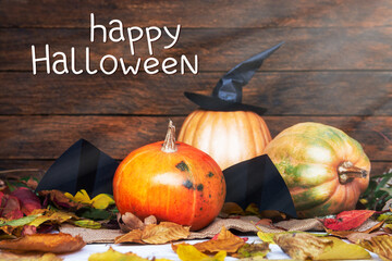 fresh halloween pumpkin, gourd, squash witch hat and bat wings candy bowl of chocolates and sweets, Halloween Jack o Lantern cookies - Trick or Treat Halloween card background