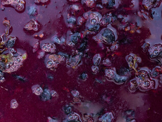 Wine material, grape juice - must, stum, maun. Technology of wine production in Moldova. The folk tradition of making wine.