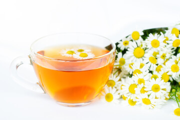cup of herbal chamomile tea and daisy flowers on white background doctor treatment and prevention of immune concept, medicine - folk, alternative, complementary, traditional medicine