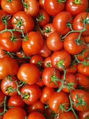 Tomates