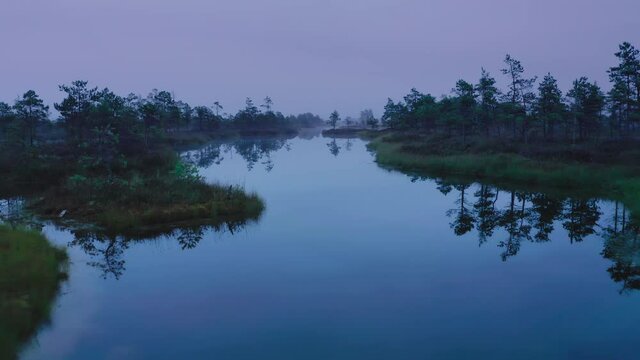 Bog pond in Kemeri National Park, Latvia.