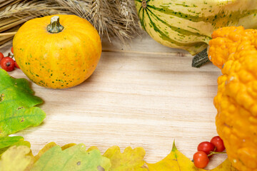 Thanksgiving dinner. Autumn Natural harvest with rye spike orange pumpkin, fall dried leaves, red berries and acorns, chestnuts on wooden background. For seasonal offers and holiday post card.