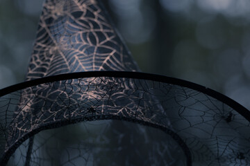 Close Up Of See Through, Cobweb Patterned Witches Hat