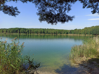 Forest lake with emerald water. Beautiful water panorama