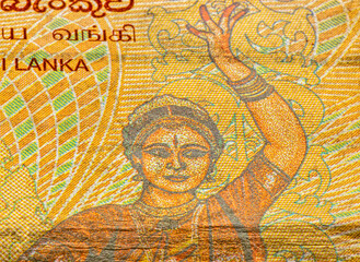 Obraz na płótnie Canvas 100 Sri Lankan rupee bank note closeup
