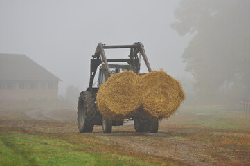 The tractor carries the bales of straw on a misty autumn morning
