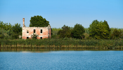 Fototapeta na wymiar A tree in a rural house without roof, in the lagoon of Caorle, in Brussa, province of Venice