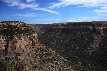 Canyon landscape with blue sky and green plants