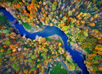 Aerial, vertical photo of a dark blue river in colorful, autumn forest. Orange, yellow and green trees and winding blue river. Autumn on the Moravian lowlands, Czech Republic.