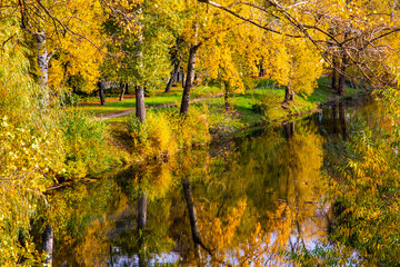 Autumn landscape with a river and trees.
The surface of the water reflects the trees and lends symmetry to the image.
