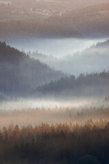 Fototapeta premium Nebel in der Sächsischen Schweiz