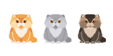 Set of illustrations of three persian cats in different colors. Vector cats collection for your design isolated on white background