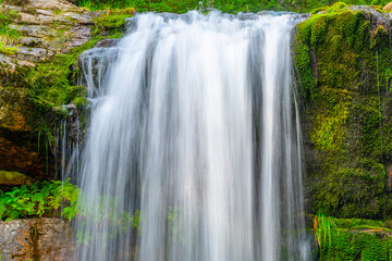 Wild Forest Waterfall