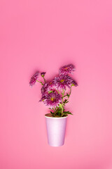 Creative layout made of coffee or tea pink paper drinking cup with pink chrysanthemums on pink background, flat lay.