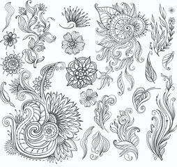 Set of decorative floral elements for design