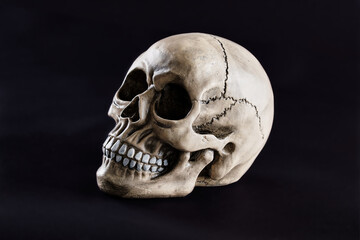 human skull on dark background for halloween close up