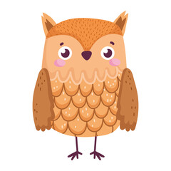 cute owl bird animal cartoon isolated icon