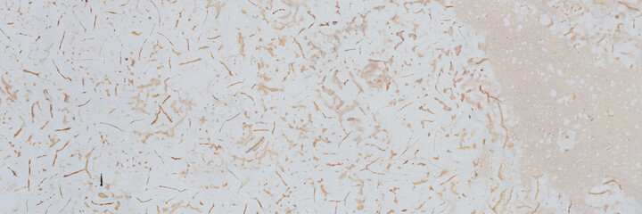 Dolomite texture. Natural rock with beautiful beige patterns on the surface. Polished flat stone. Classic luxury decoration building material. Wide panoramic texture for background and design.