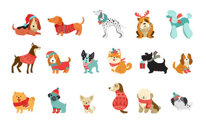 Collection of Christmas dogs, Merry Christmas illustrations of cute pets with accessories like a knitted hats, sweaters, scarfs, vector graphic elements