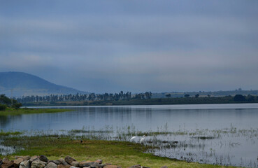 Paisaje ribera del lago