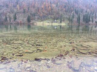 lake in the woods