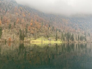landscape with fog