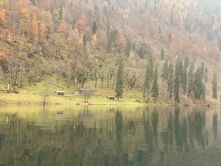 morning on the lake